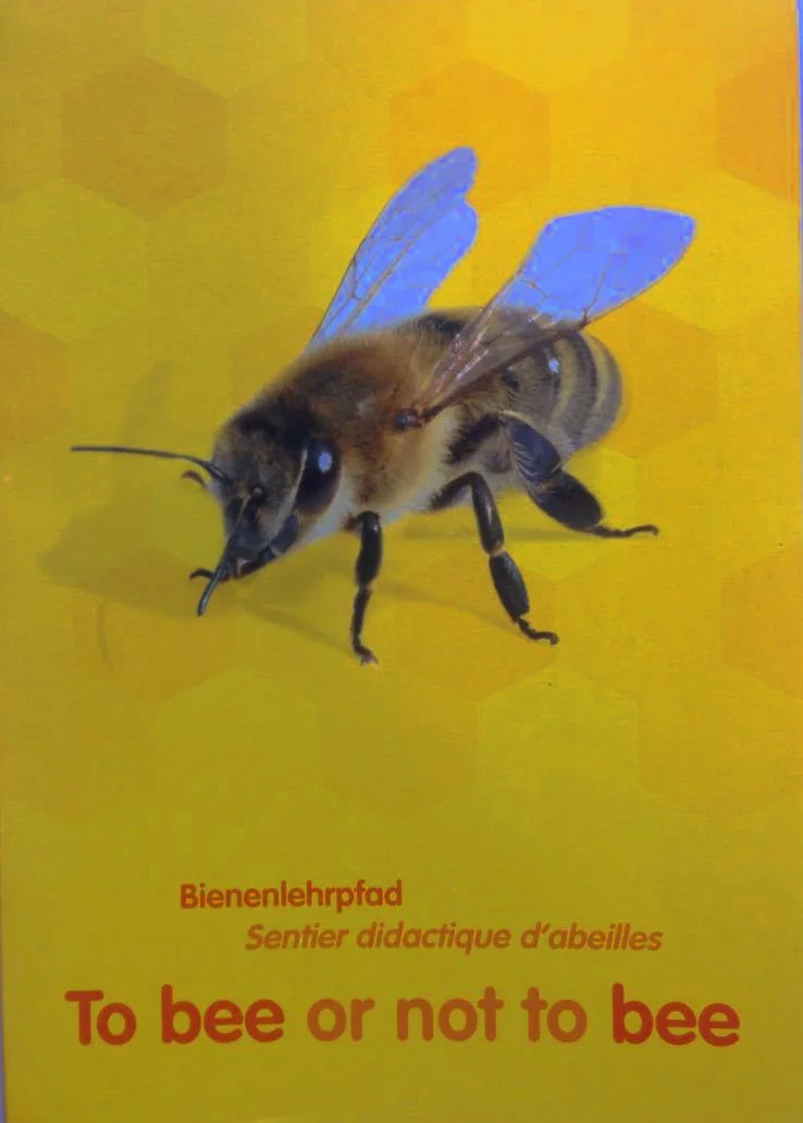 tobeeornottobee.jpg