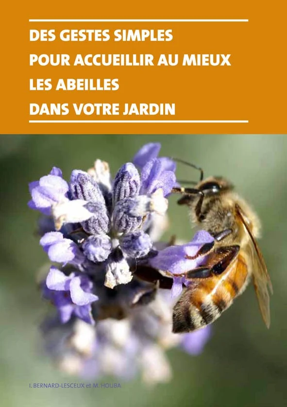 Des gestes simples pour accueillir au mieux les abeilles dans votre jardin