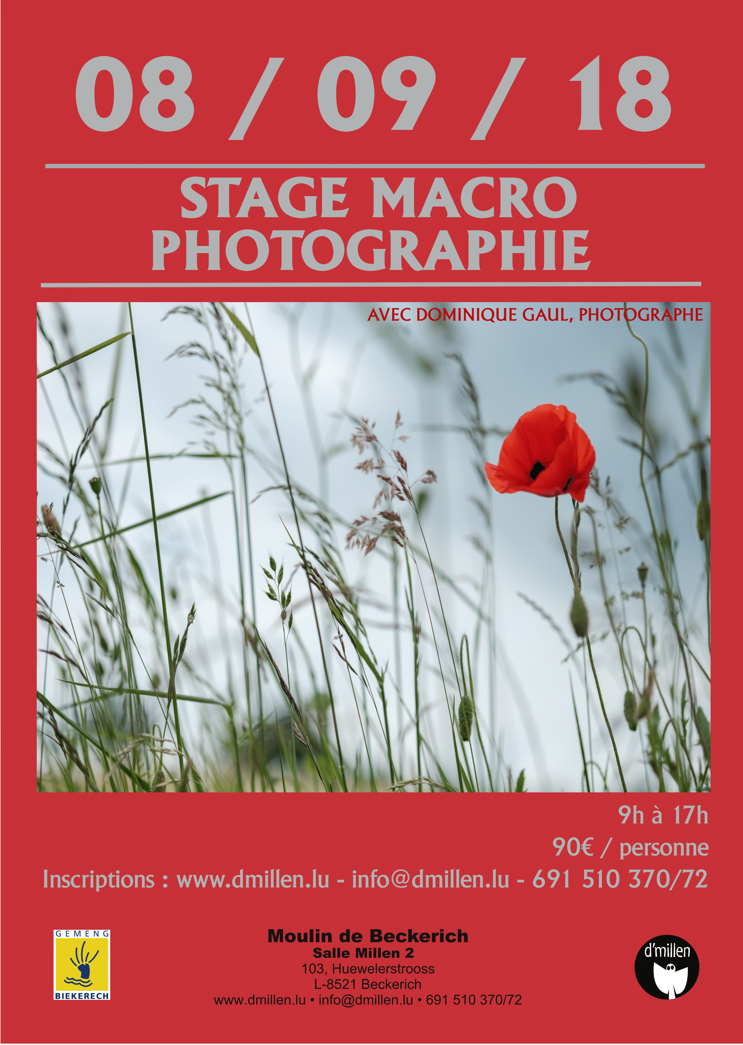 Affiche Stage macro-bd-1.png