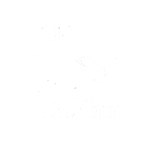 All Is Rhythm