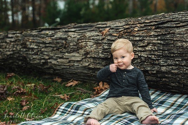 This little cutie y&rsquo;all! 😊 💕 ⁠⠀
&bull;⁠⠀
&bull;⁠⠀
&bull;⁠⠀
#scarlettoliviaphotography #familyphotography #littlerockphotographer  #napavalleyweddingphotographer #clickmagazine #portraitphotographer #weddingphotographer #photographerfortravel 