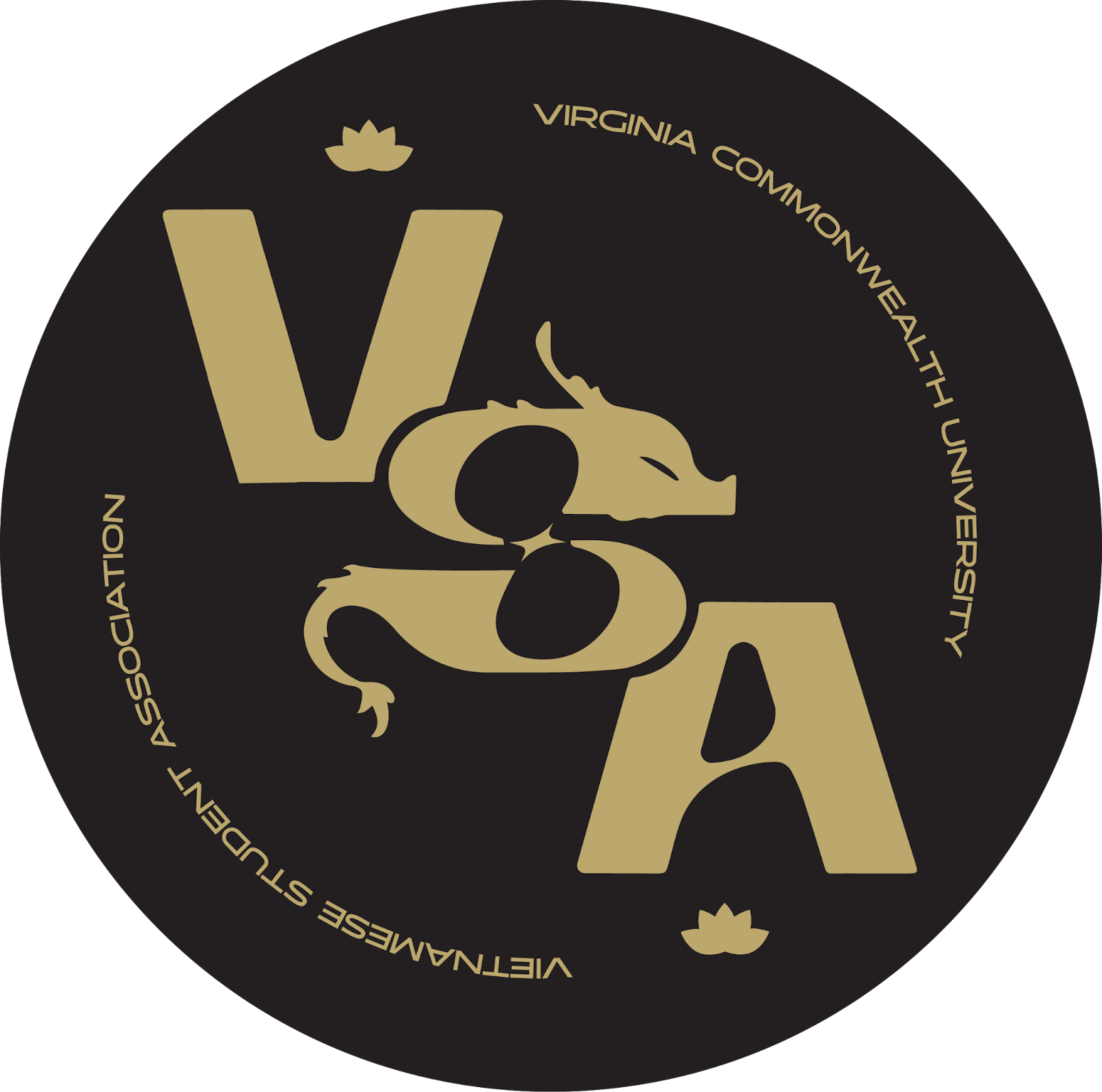VSA at Virginia Commonwealth University