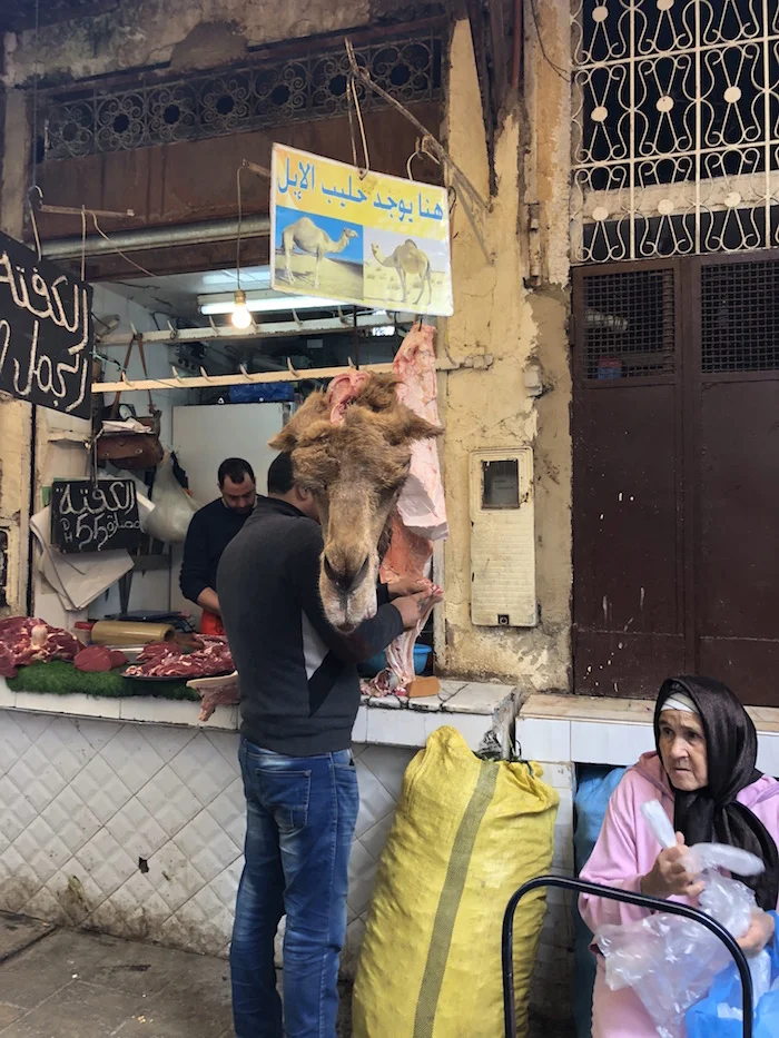 camel vendor in fex medina morocco.jpg