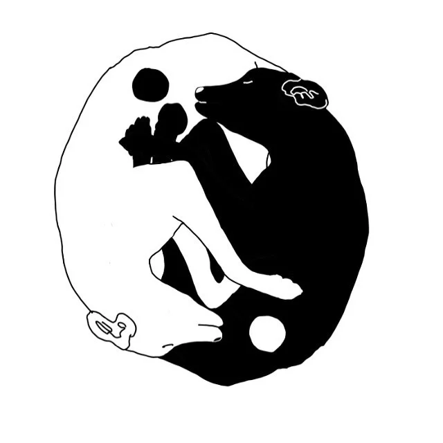 Dalmatyinyang