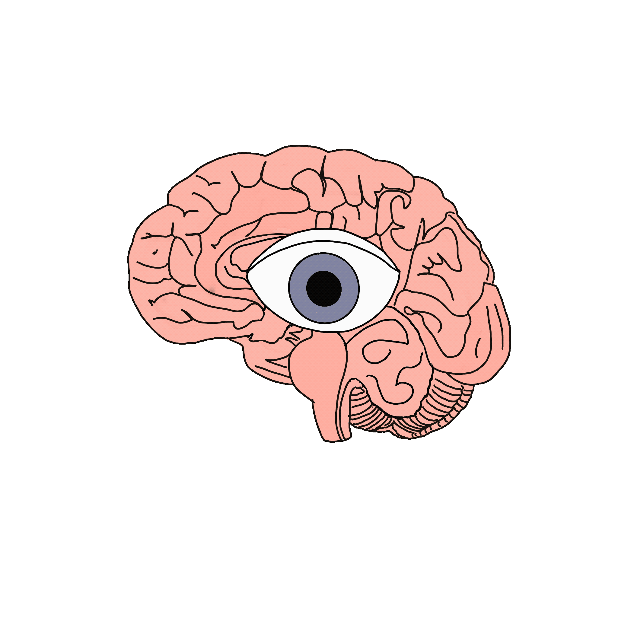 Brain eye.gif