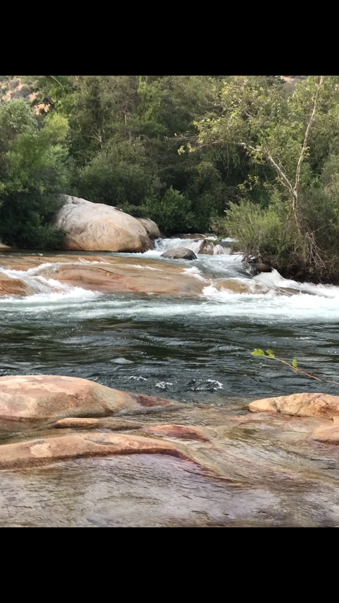 Carla's Column: Stones and Waves