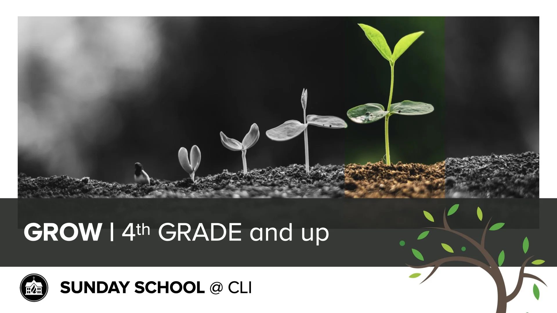 Person sitting cross-legged on a carpet with an open Bible in front of them, promoting a heritage class for grades 4-6.
