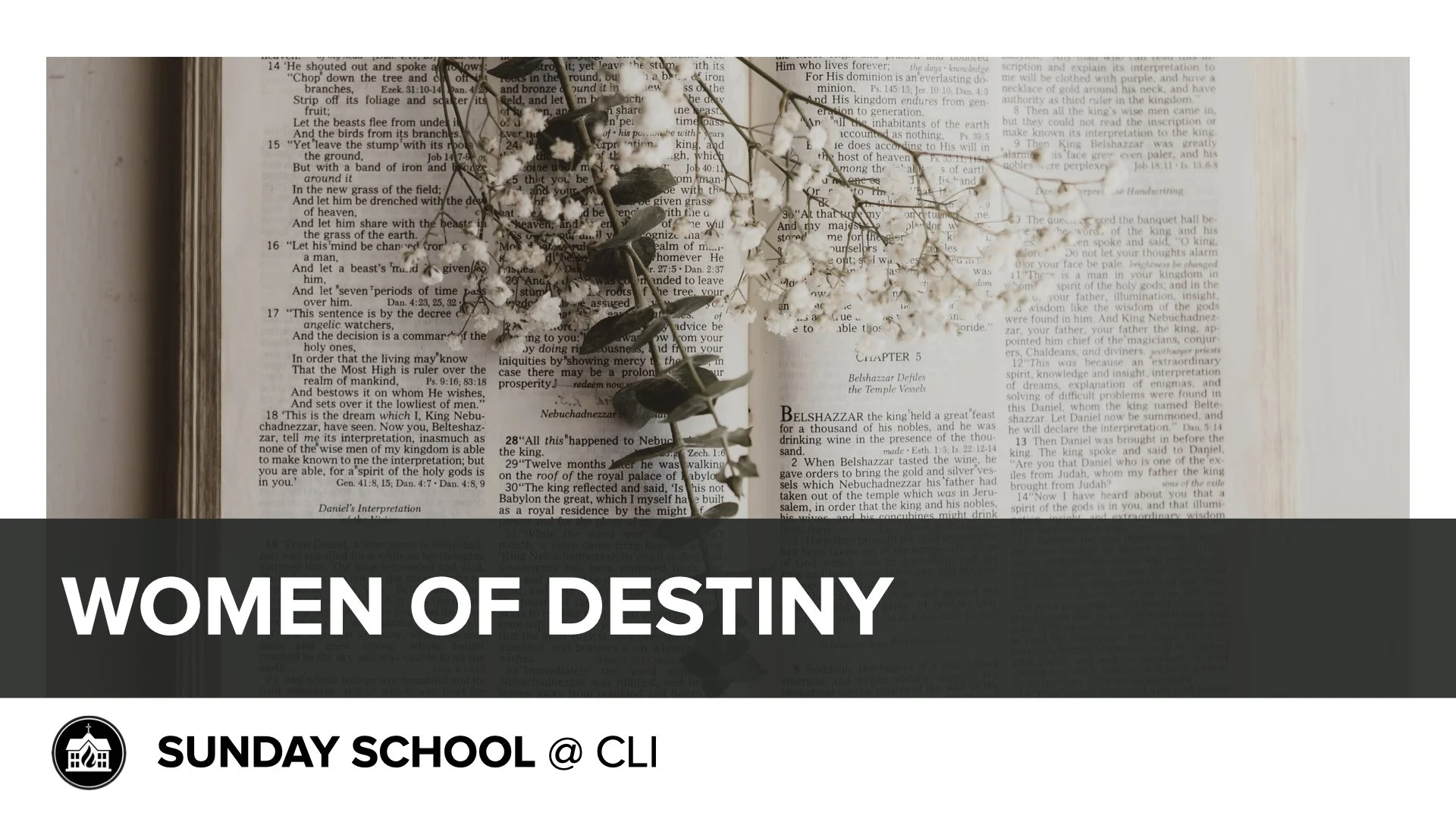 Open Bible with white and gray flowers placed on top, and green leaves, with a caption overlay reading 'Women of Destiny' and 'Disciple' in bold letters.