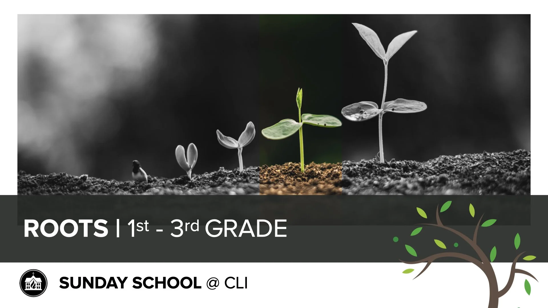 A young girl with blonde hair is writing with a pencil in a classroom or library setting, with shelves of books in the background.