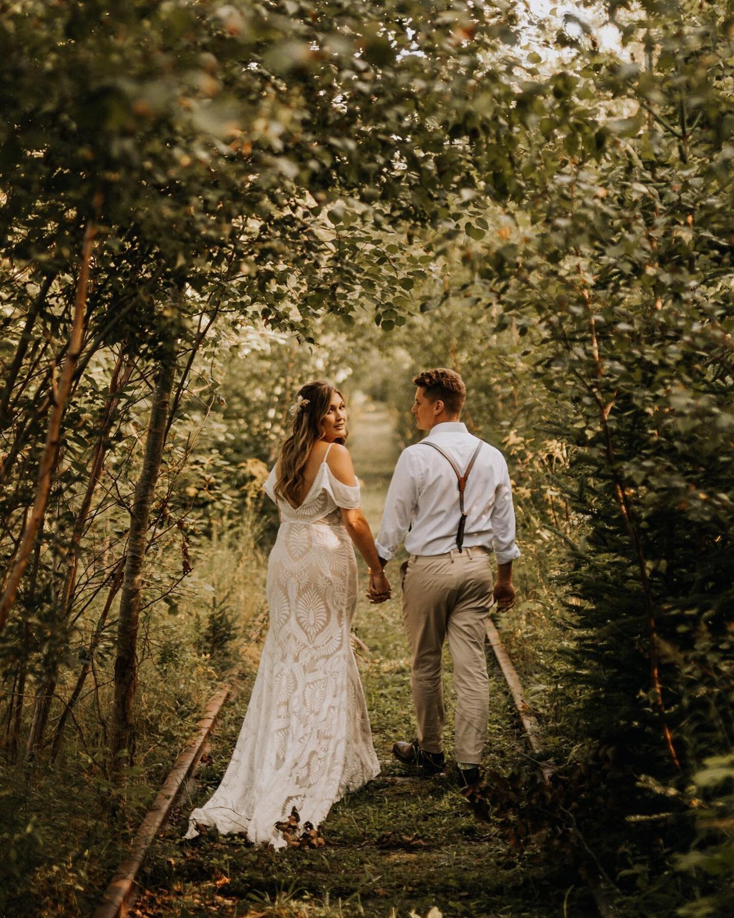 fluttery leaves dancing with the breeze and soft whispers post wedding ceremony ✨