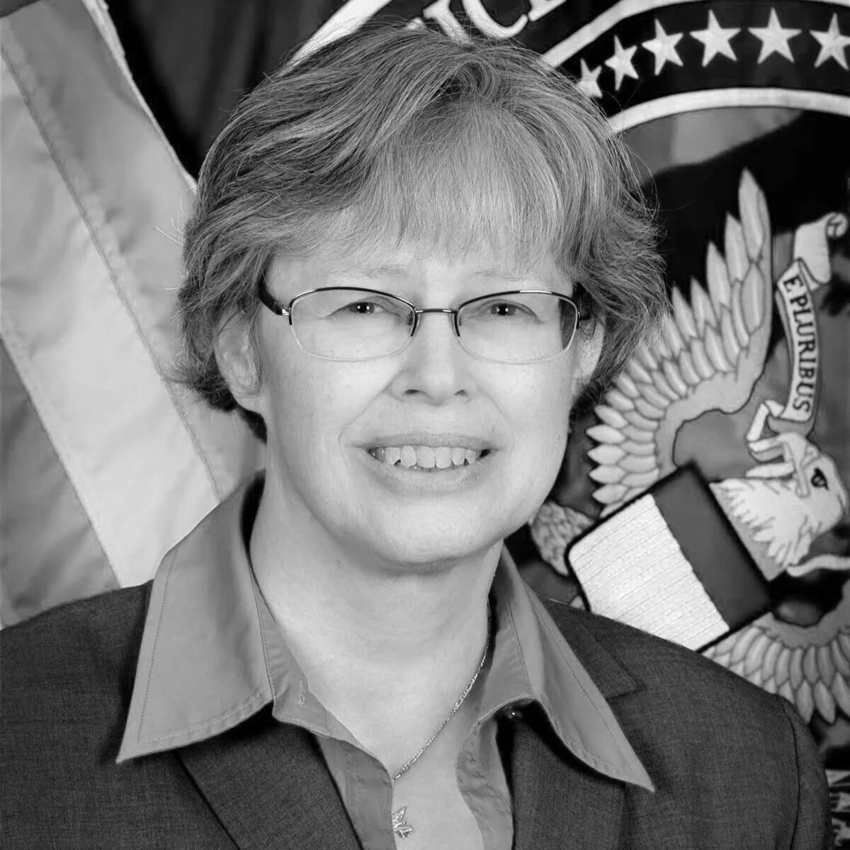 Stephanie O’Sullivan Stephanie O'Sullivan served as the Principal Deputy Director of National Intelligence at Office of the Director of National Intelligence from February 2011 to January 2017. In that role, O'Sullivan focused on the operations of the ODNI and the Intelligence Community (IC), as well as IC integration initiatives and resource challenges. Before this assignment she served as the Associate Deputy Director of the Central Intelligence Agency, where she worked with the Director and Deputy Director in the overall leadership of the Agency, with emphasis on day-to-day management of the organization. Prior to becoming Associate Deputy Director of the CIA, O'Sullivan spent four years leading the CIA's Directorate of Science and Technology (DS&T), the part of the Agency responsible for developing and deploying innovative technology in support of intelligence collection and analysis. In her career, she held various management positions in the CIA's DS&T, where her responsibilities included systems acquisition and research and development in fields ranging from power sources to biotechnology. O'Sullivan joined the CIA in 1995 after working for the Office of Naval Intelligence and for TRW.