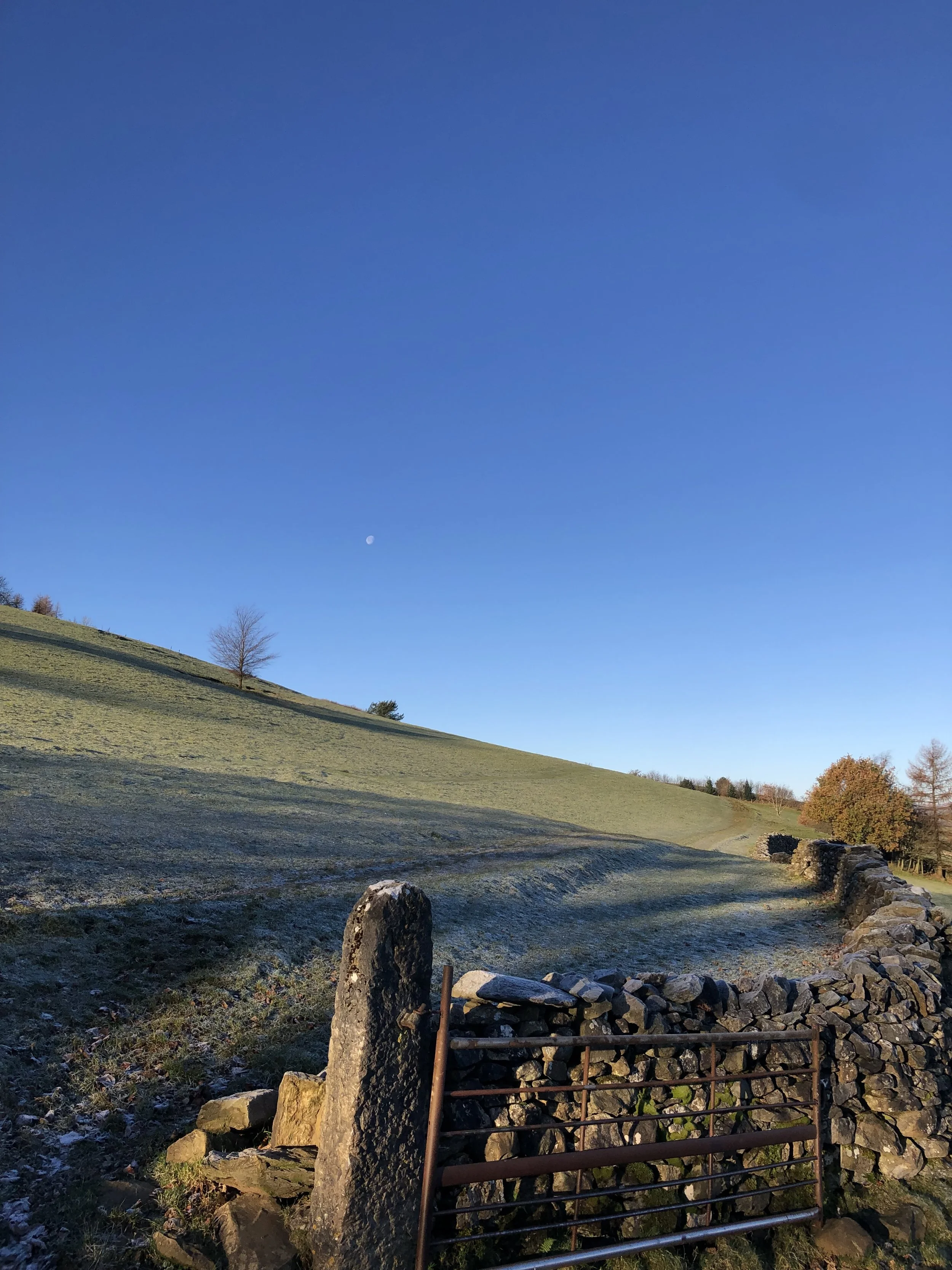 Putting the WIN into Winter!