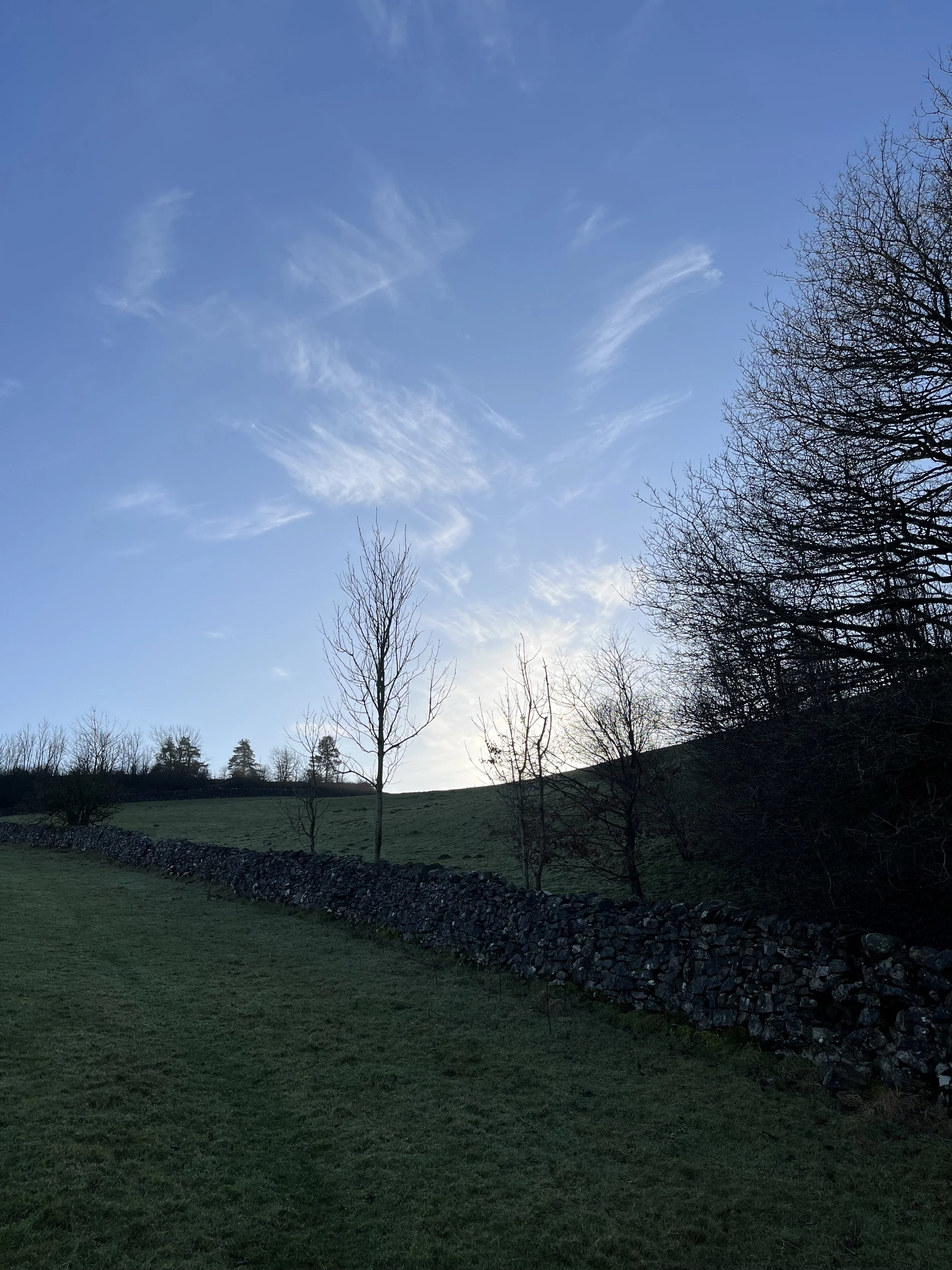 Listicle of Listicles! 