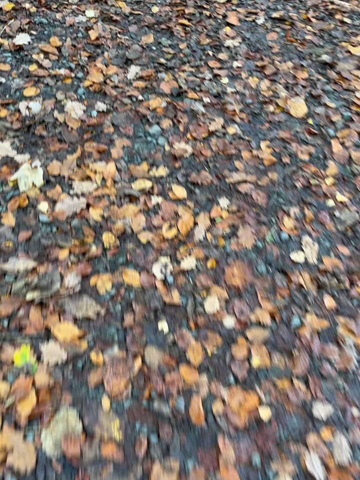 I&rsquo;ve been resisting this all day &hellip;.

Nature&rsquo;s been calling and I&rsquo;ve been doing errands, emails, everything but tuning in 

But my body knows and 

I finally peel myself away from my screen 

within 20 mins I&rsquo;m here 

An