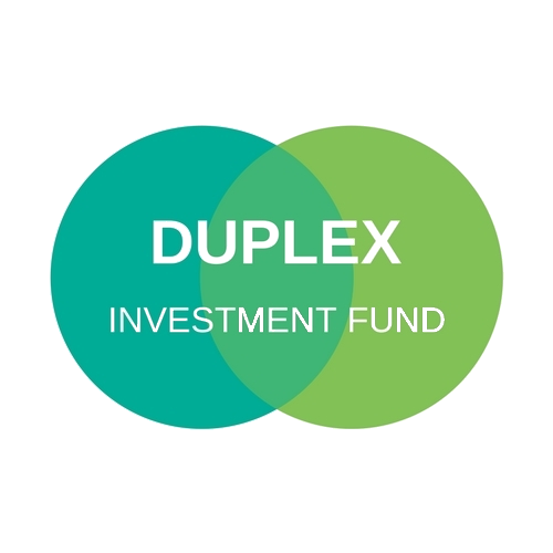 Duplex Logo 500 - transparent.png