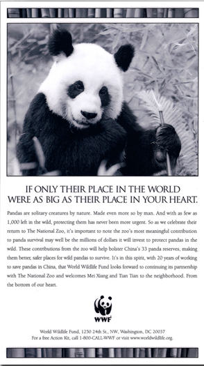 Panda ad.jpg