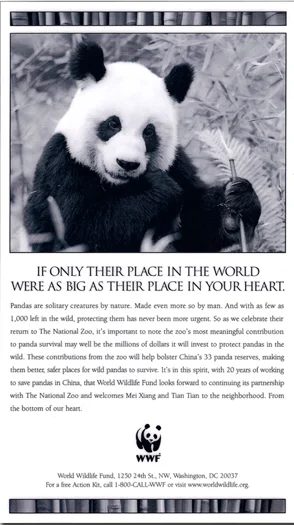 Panda ad.jpg