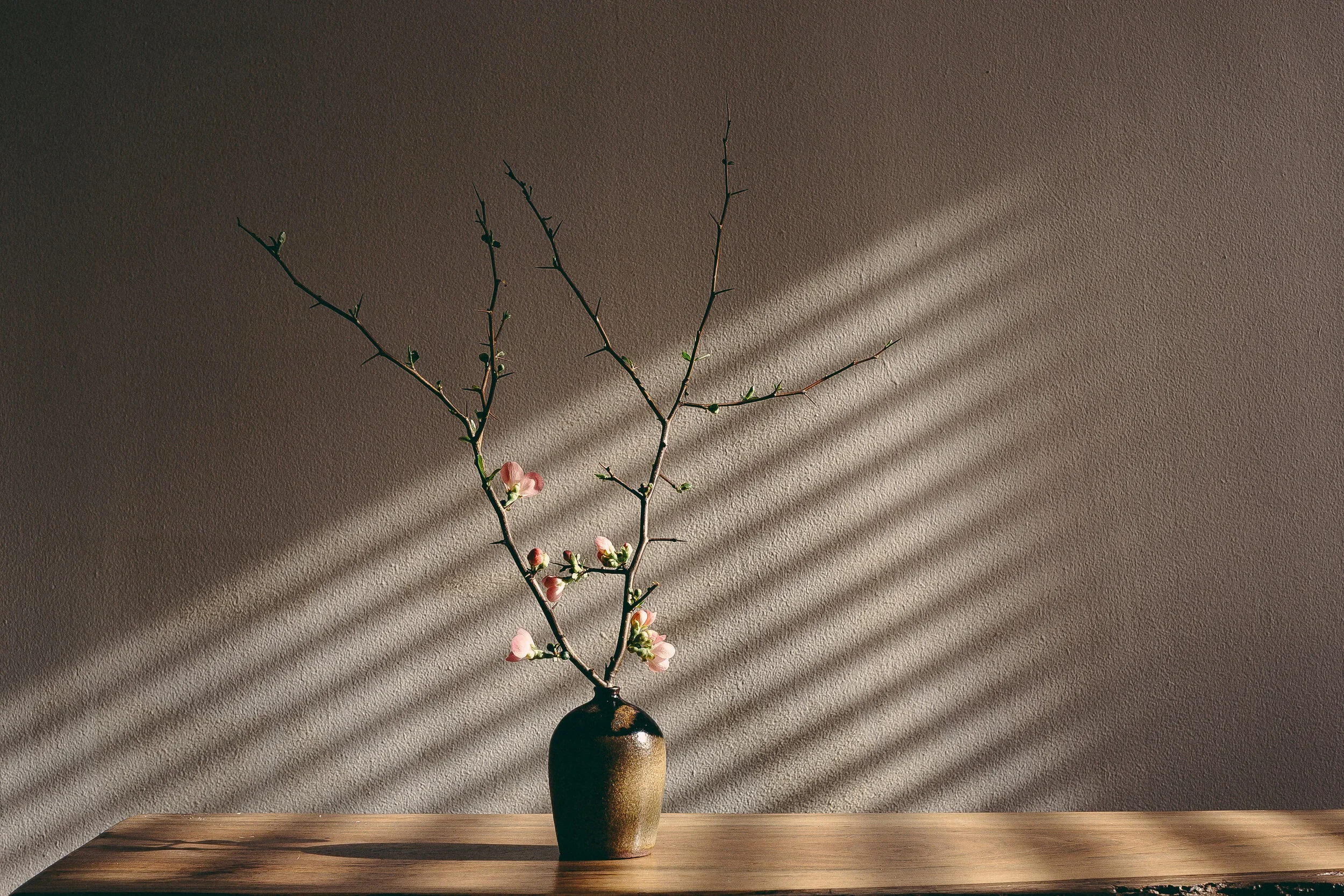 C80A7106.webp