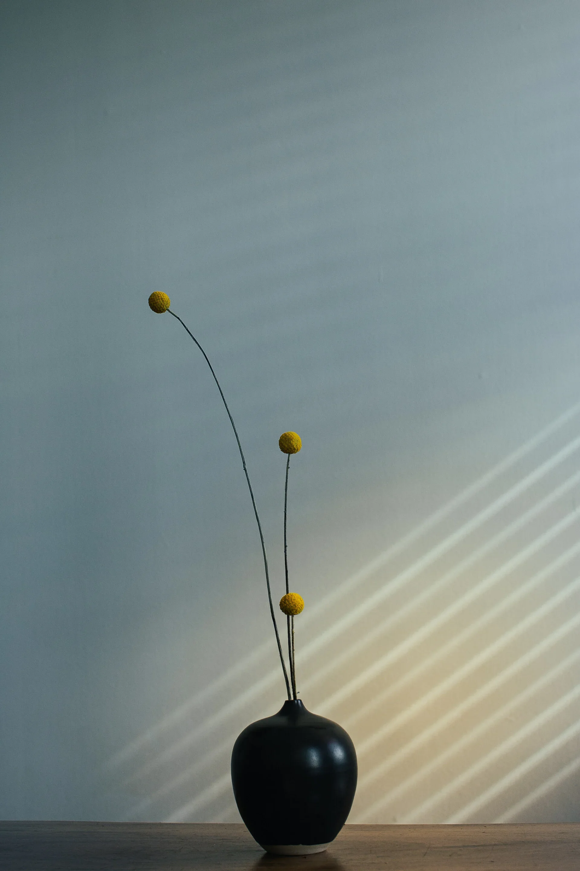 C80A7308.webp