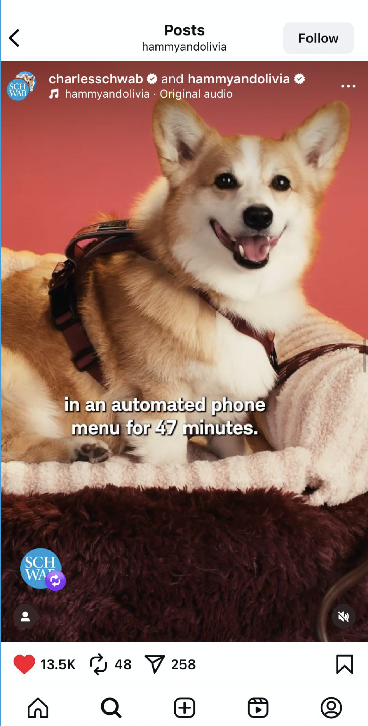 Screenshot 2026-03-03 at 1.32.08 PM.png