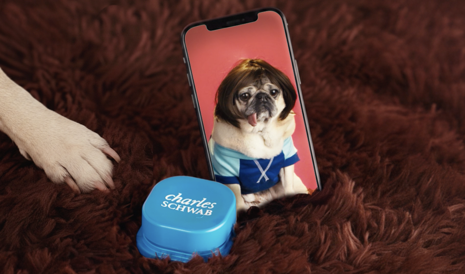 Screenshot 2026-03-03 at 10.31.04 AM.png