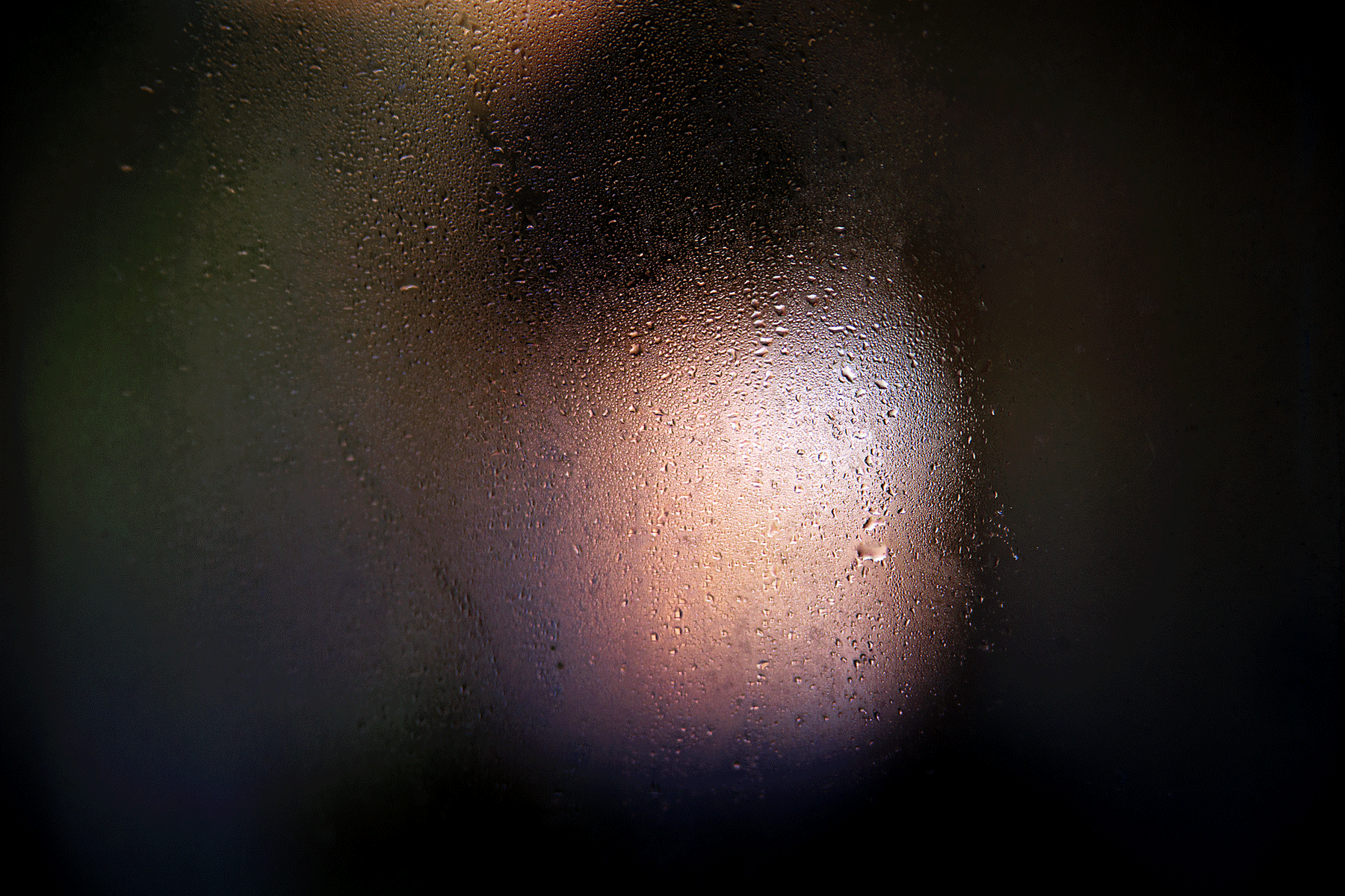 Reflection in Shed Window