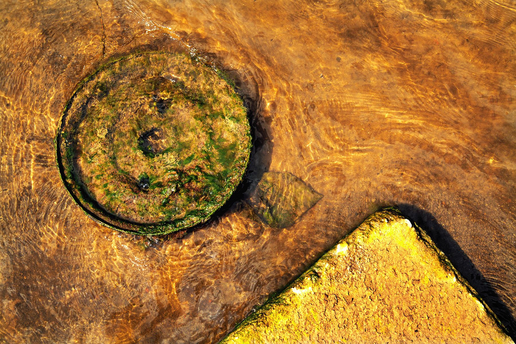 Car Wheel and Concrete Triangle in River Trent near Stoke Ferry