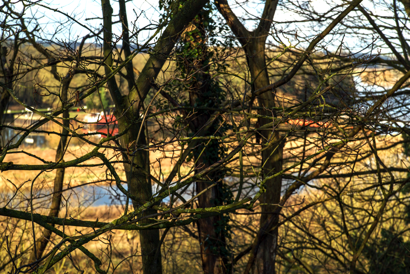 Ponds and River Trent with Red Shapes No 1