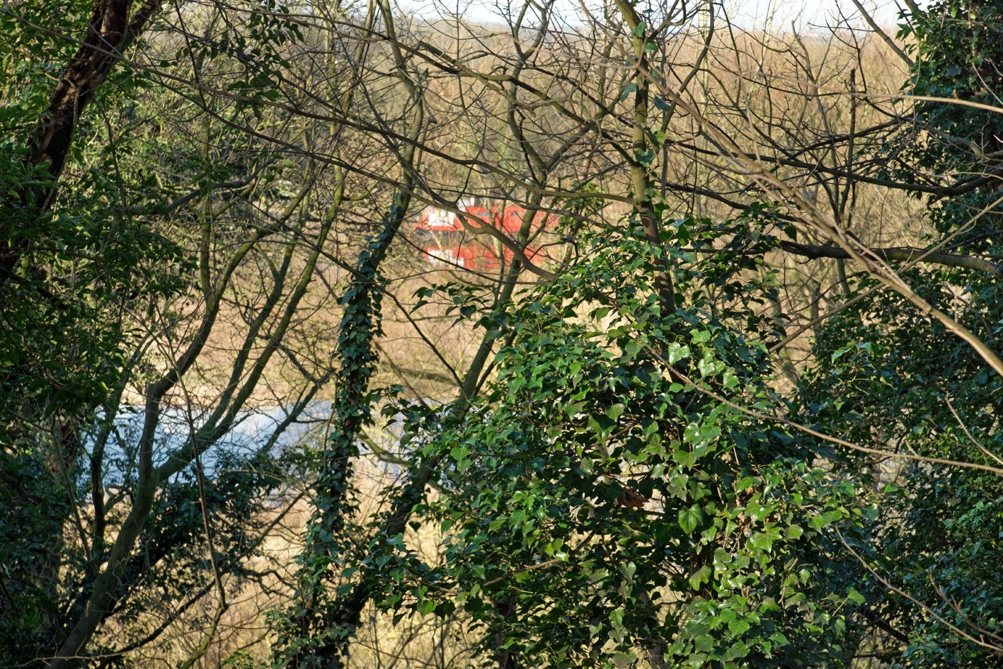 Pond with Red Shape