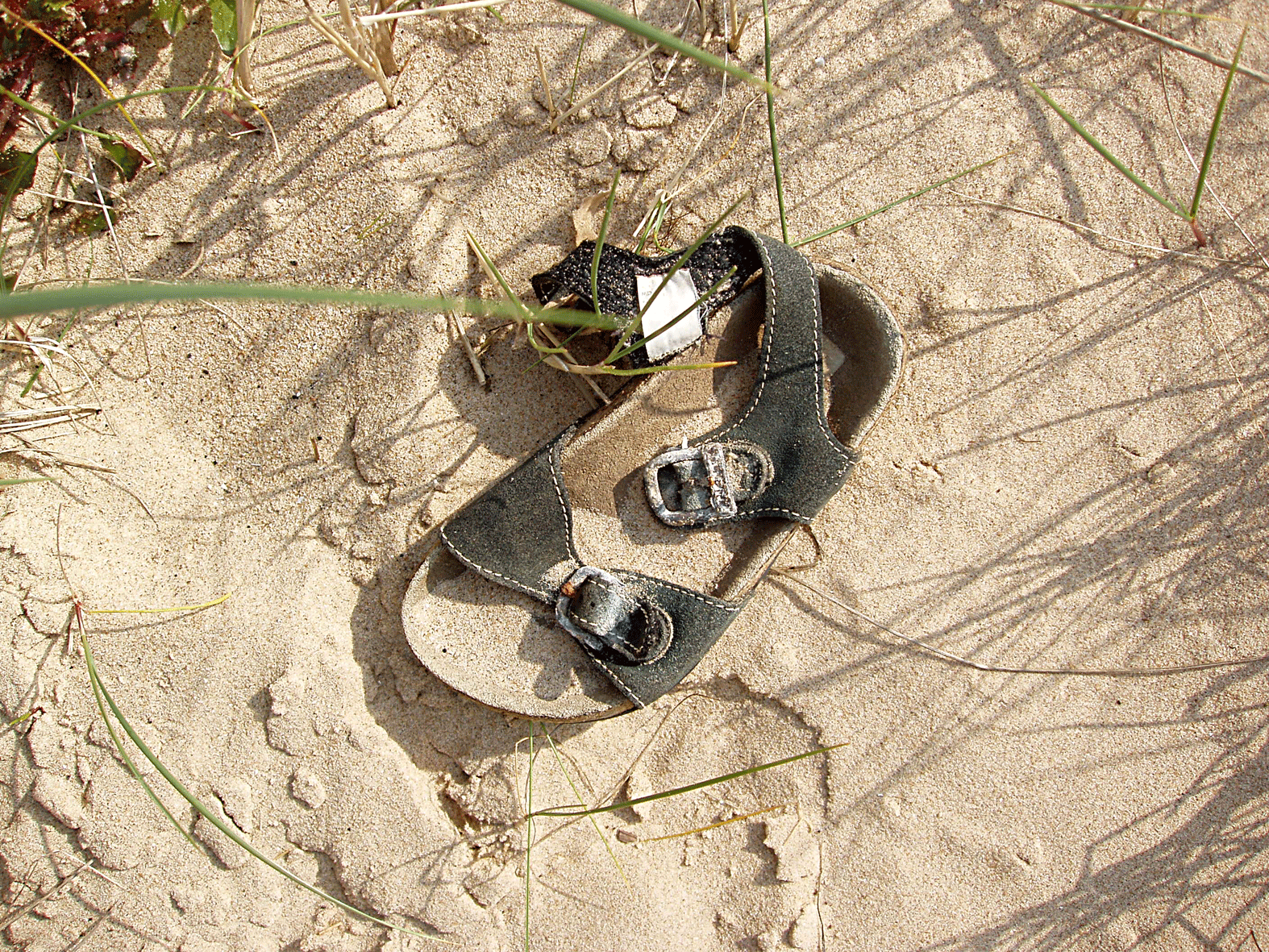 Abandoned Sandal, Thornham