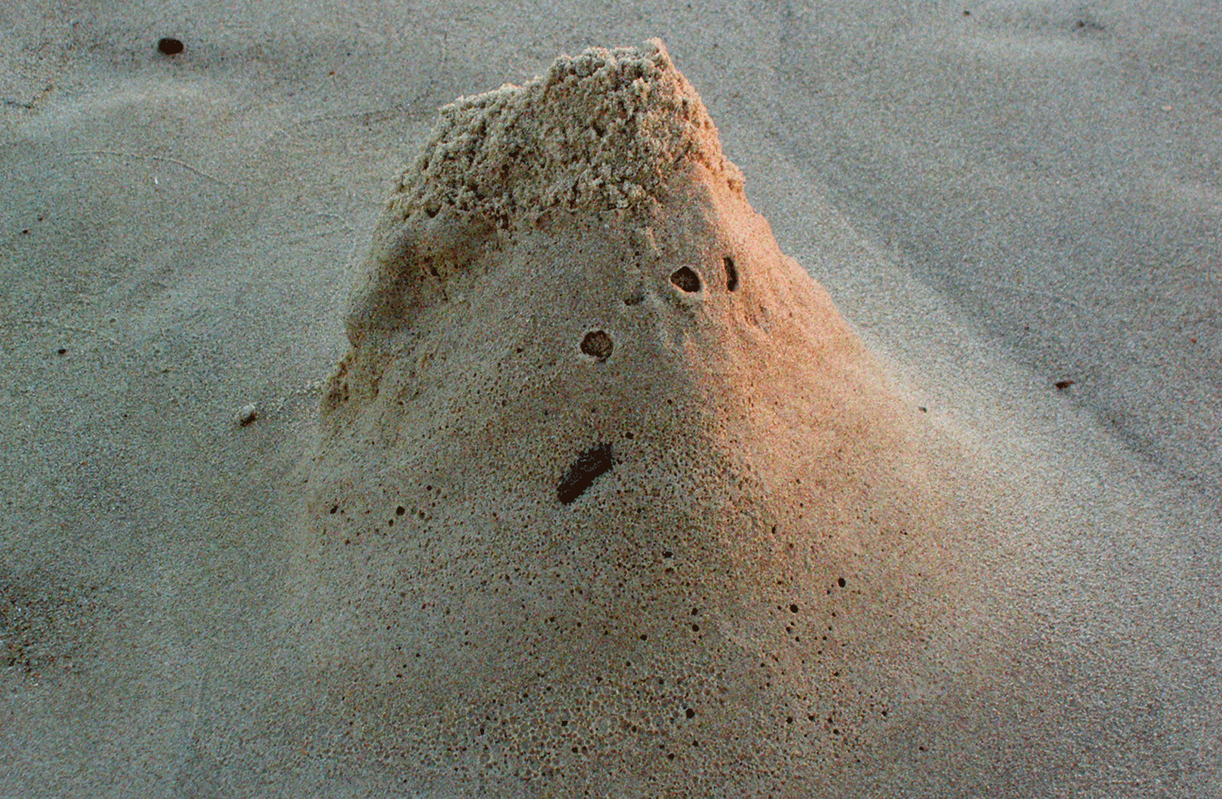 Abandoned Sandcastle, Holkham Bay