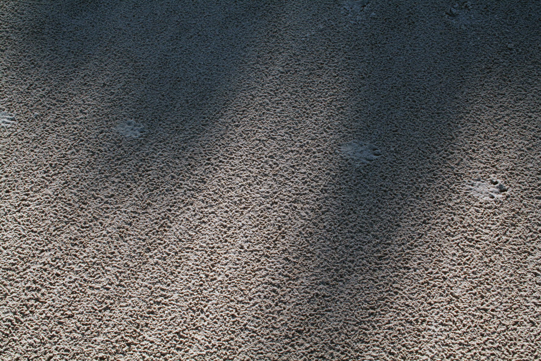 Sand Shadow and Dog Tracks