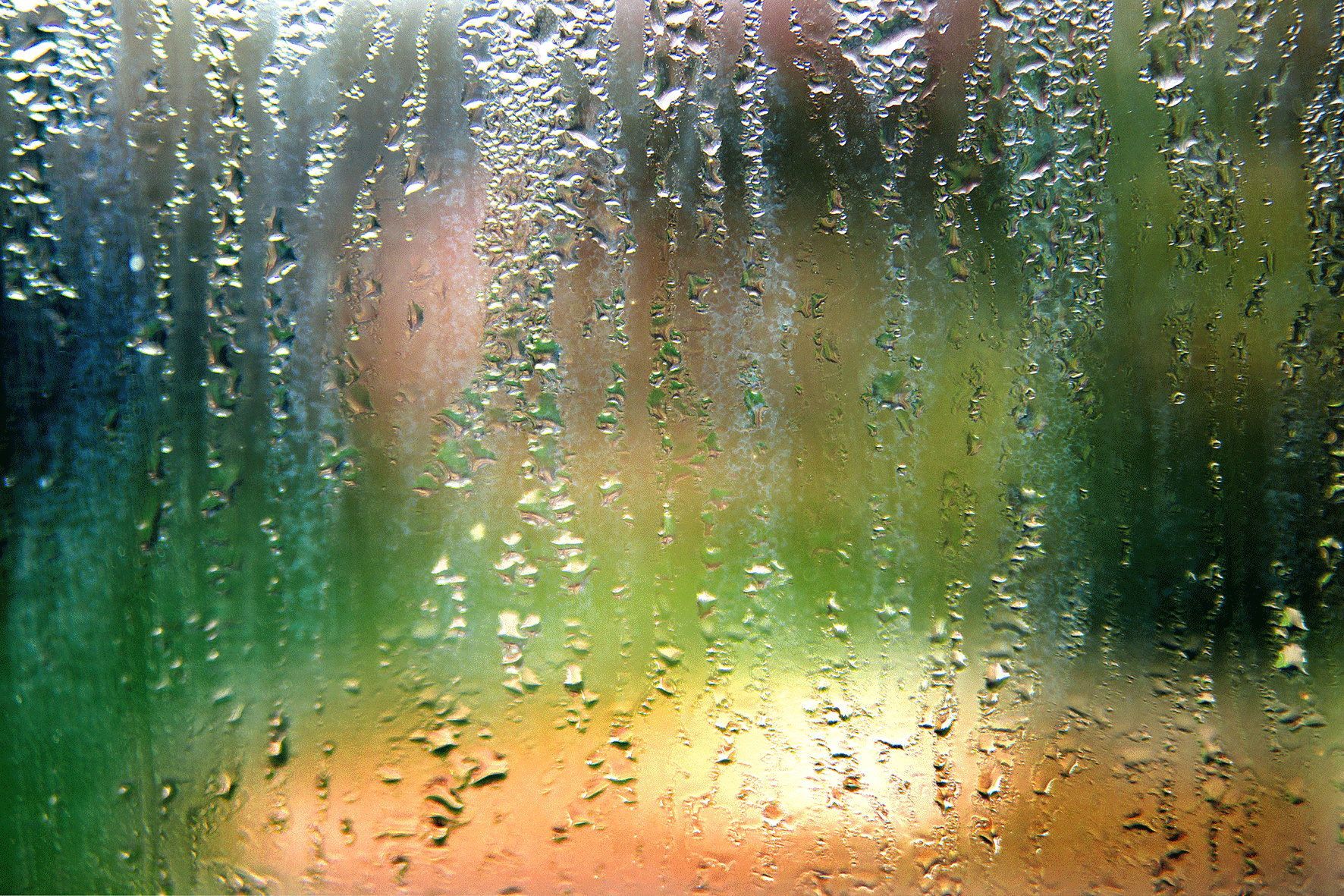 Shed through Wet Bedroom Window