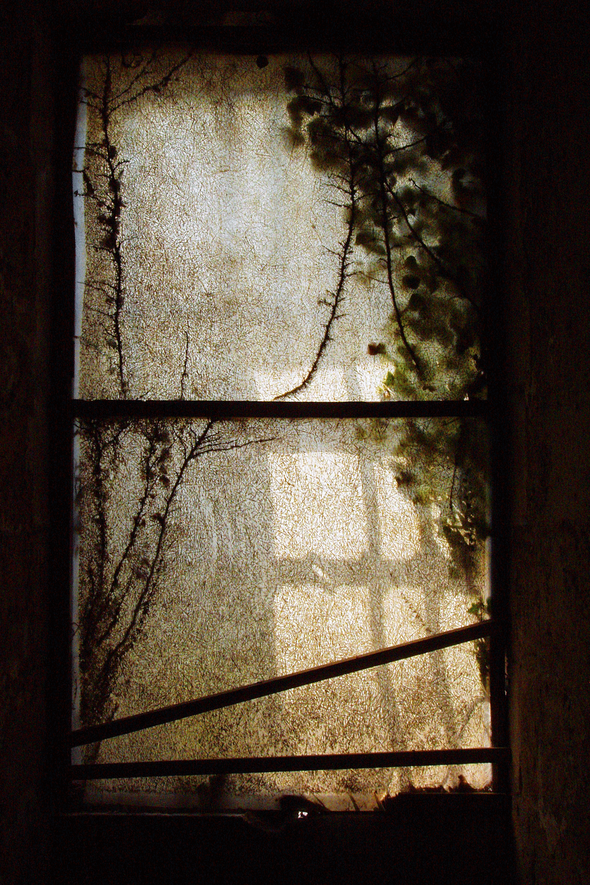 Window at Old Women's Prison, Cadillac, France
