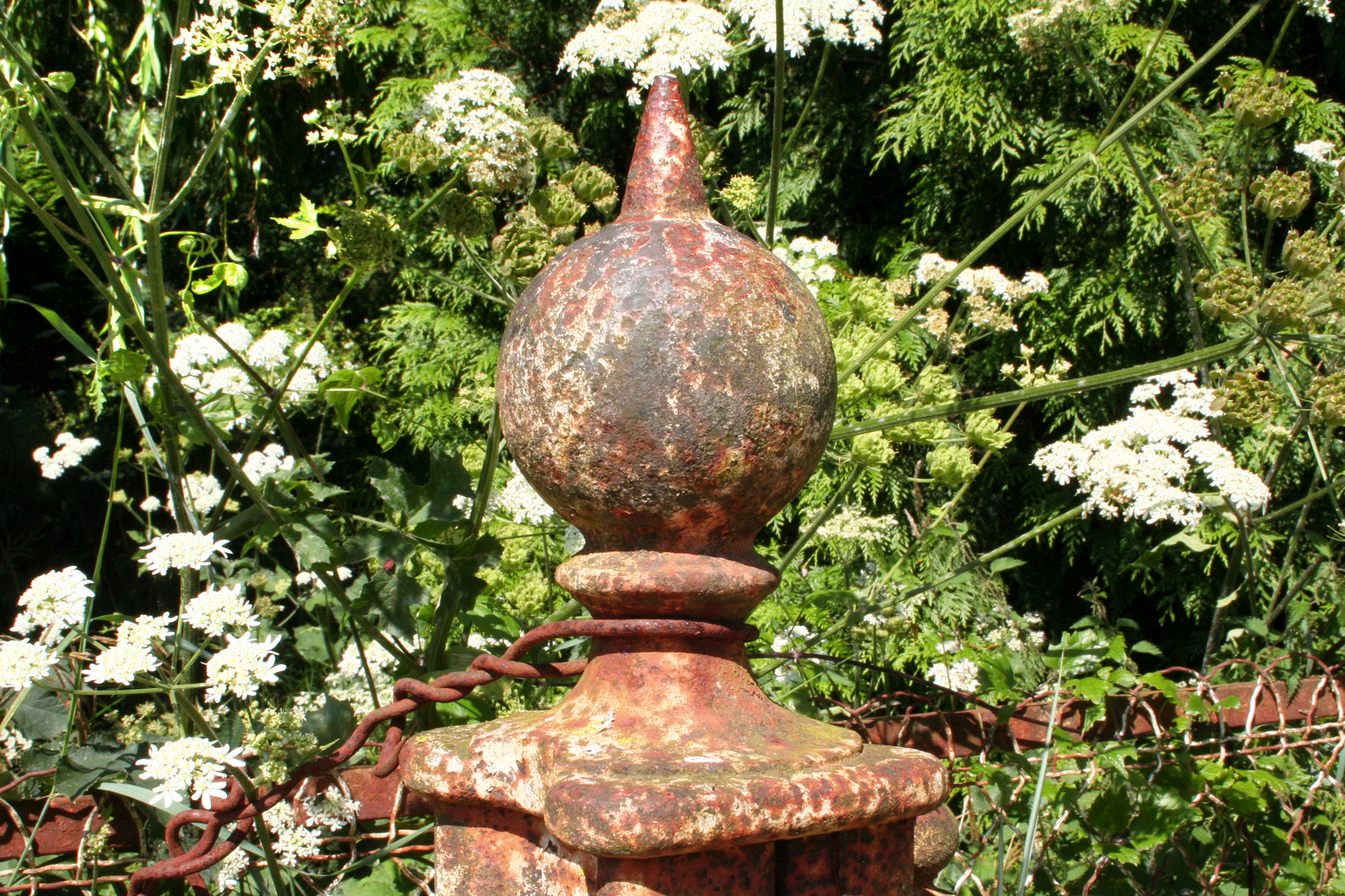 Rusty Fence Post and Wire, Chenonceaux