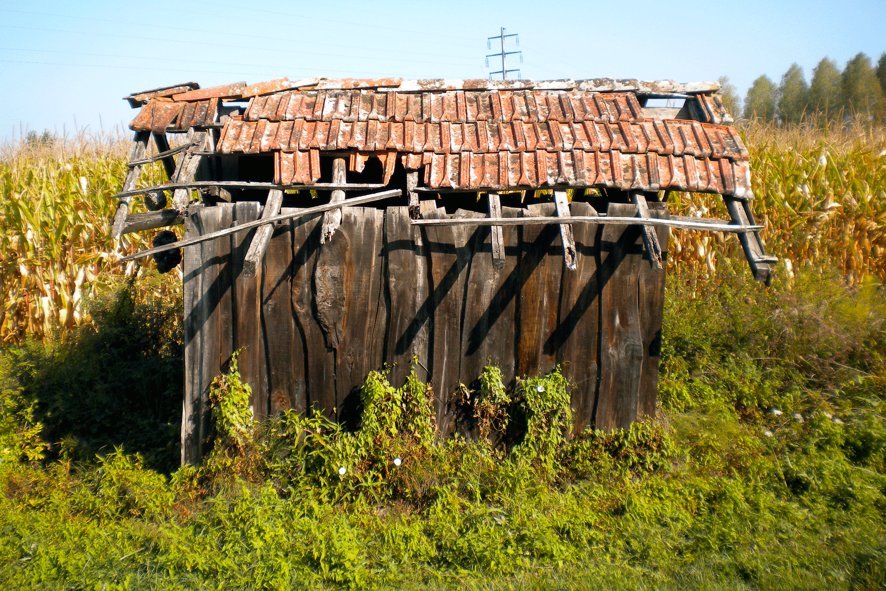 Day 14 Hut