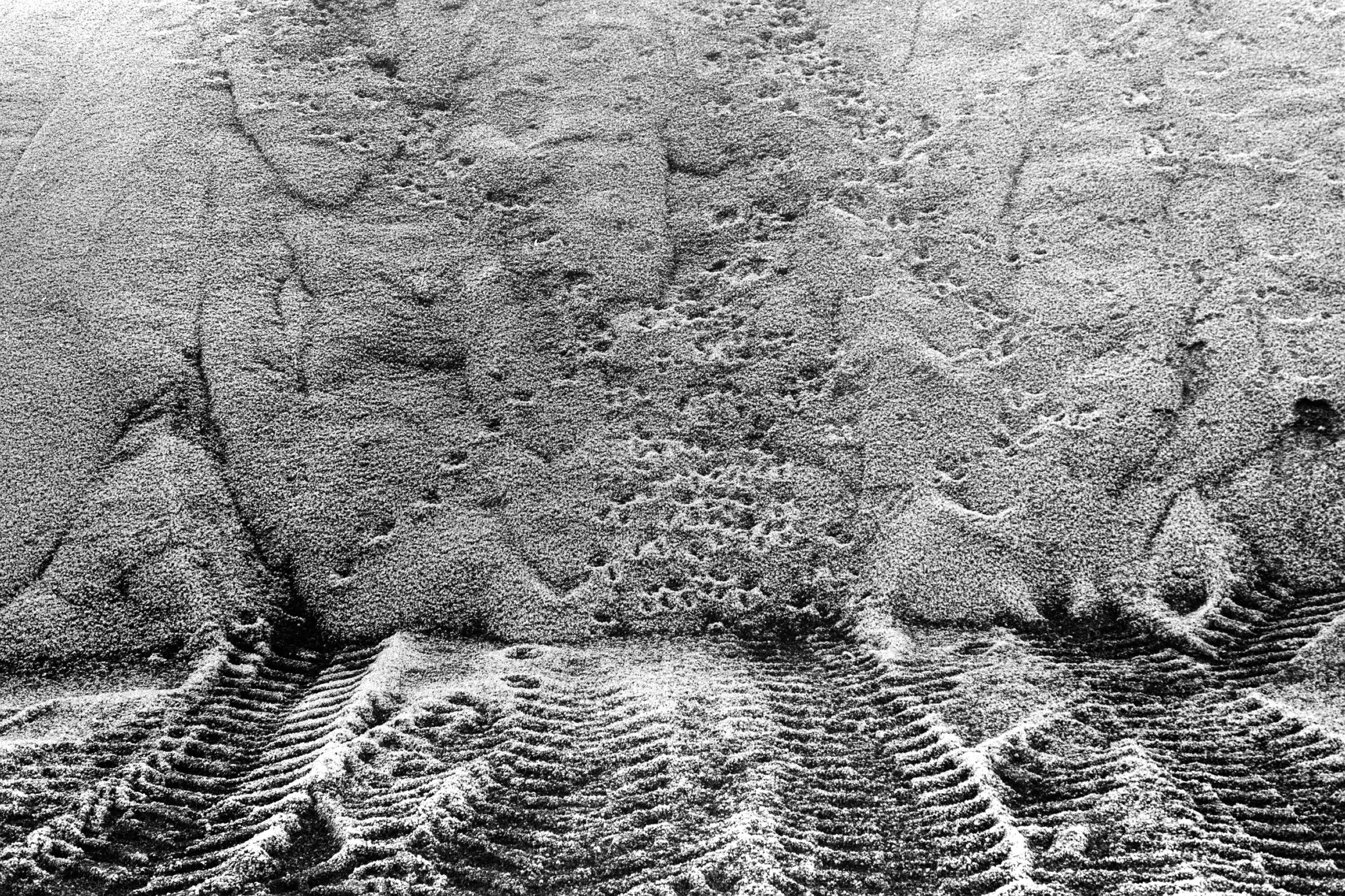 Animal Tracks, Man Tracks in Quarry