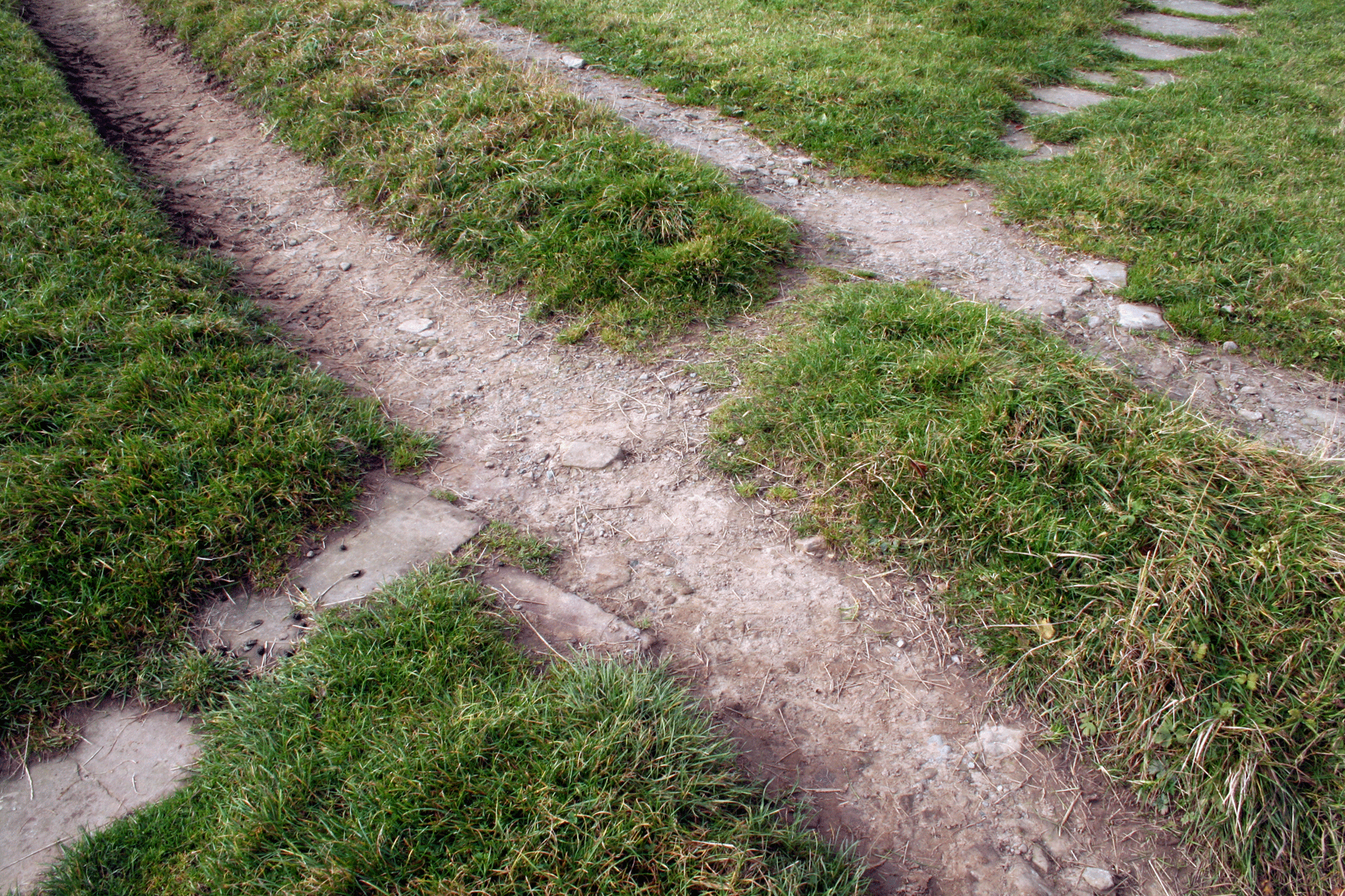 Tracks near Burtersett