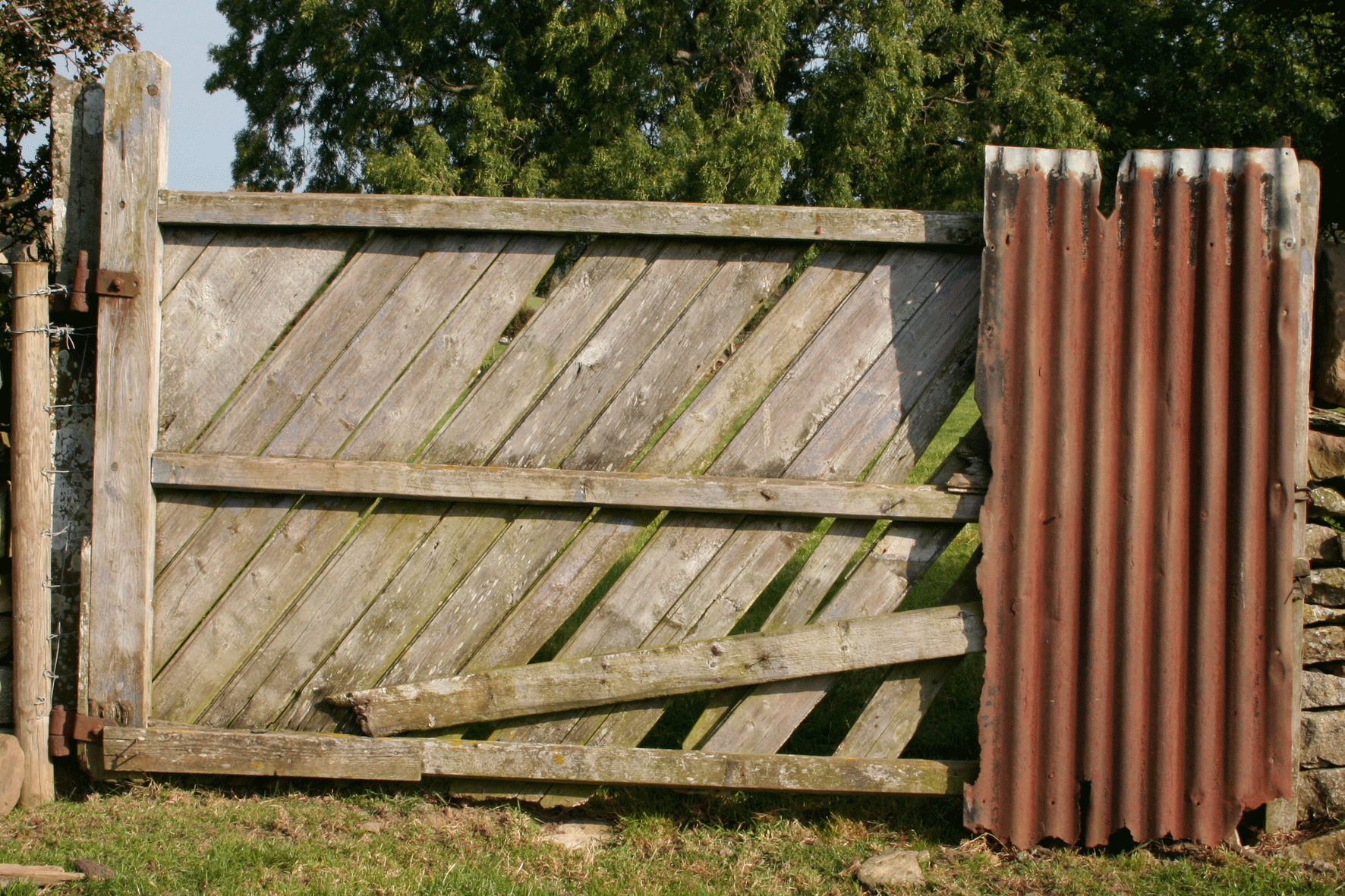 Wooden Gate and Corrugated Iron near Middleham