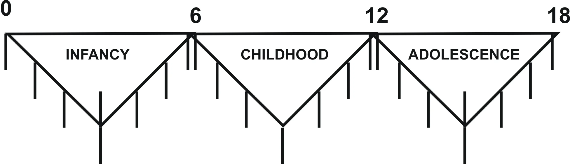 1a.jpg