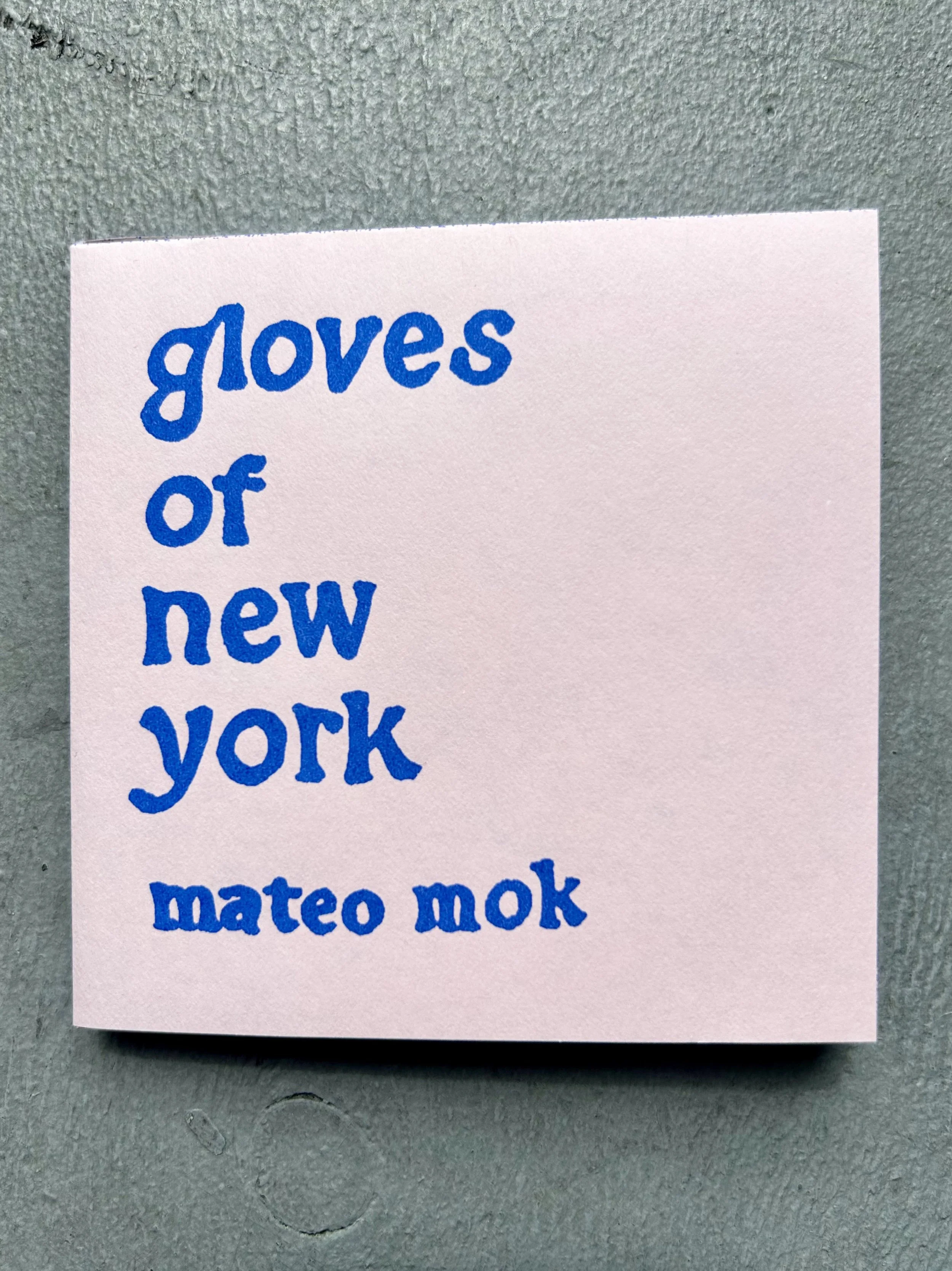gloves of new york by Mateo Mok