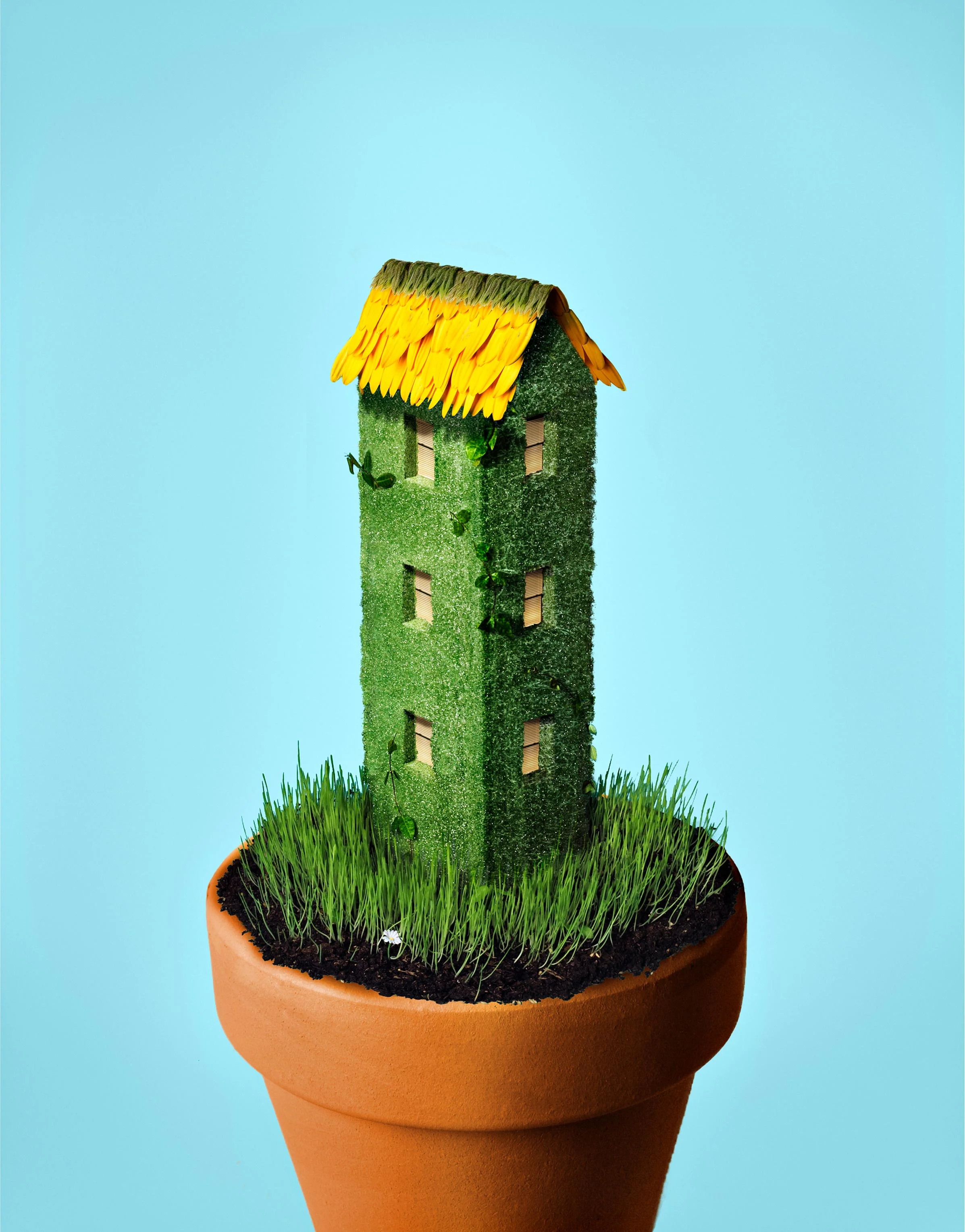 Green_house_flat.jpg