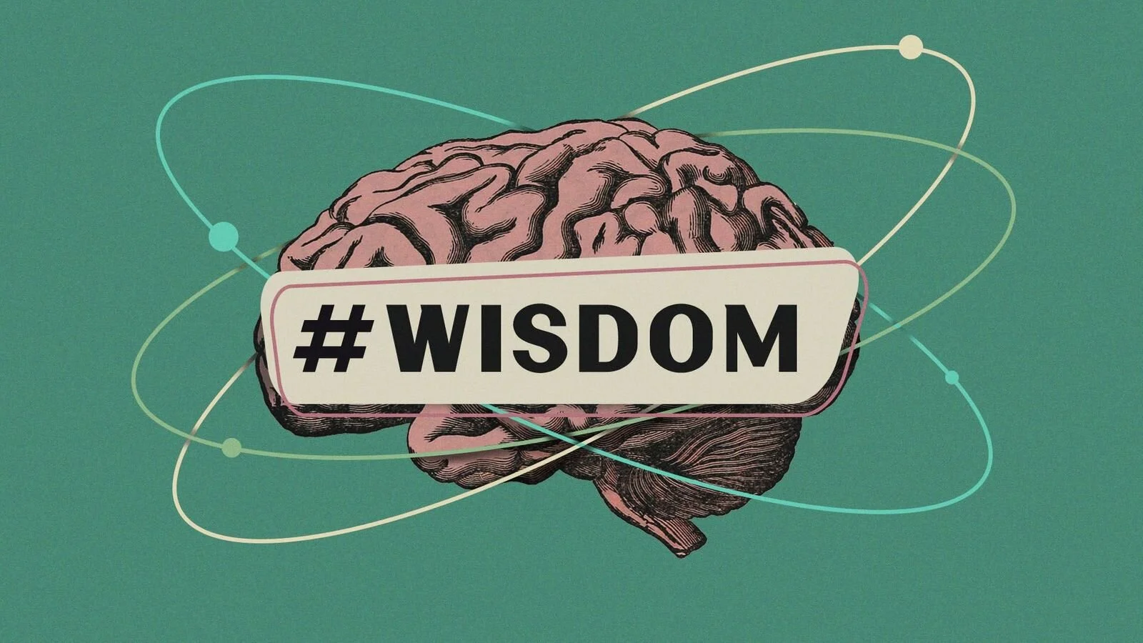 Distraction Danger // Wisdom