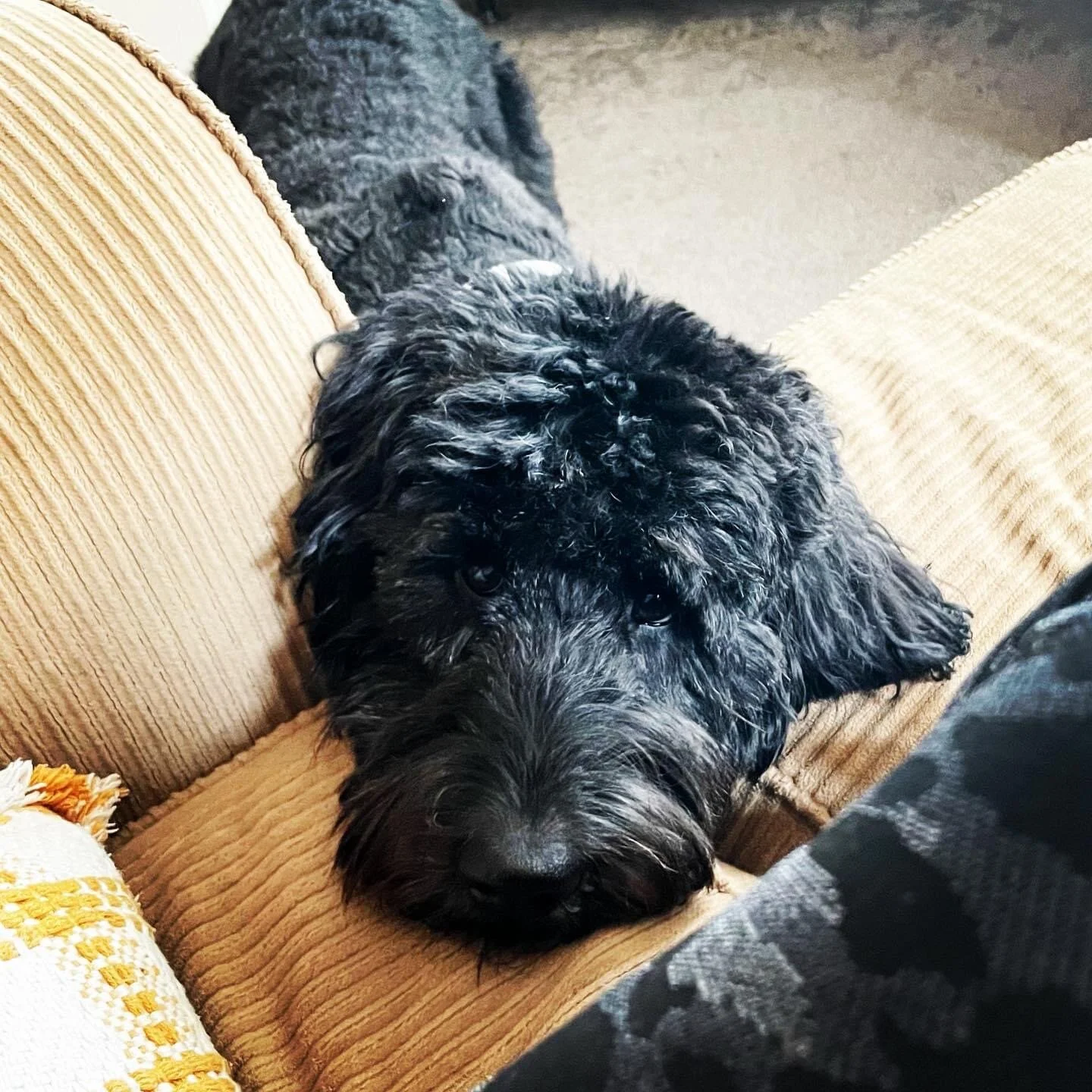 Our Staff — Cornerstone Church