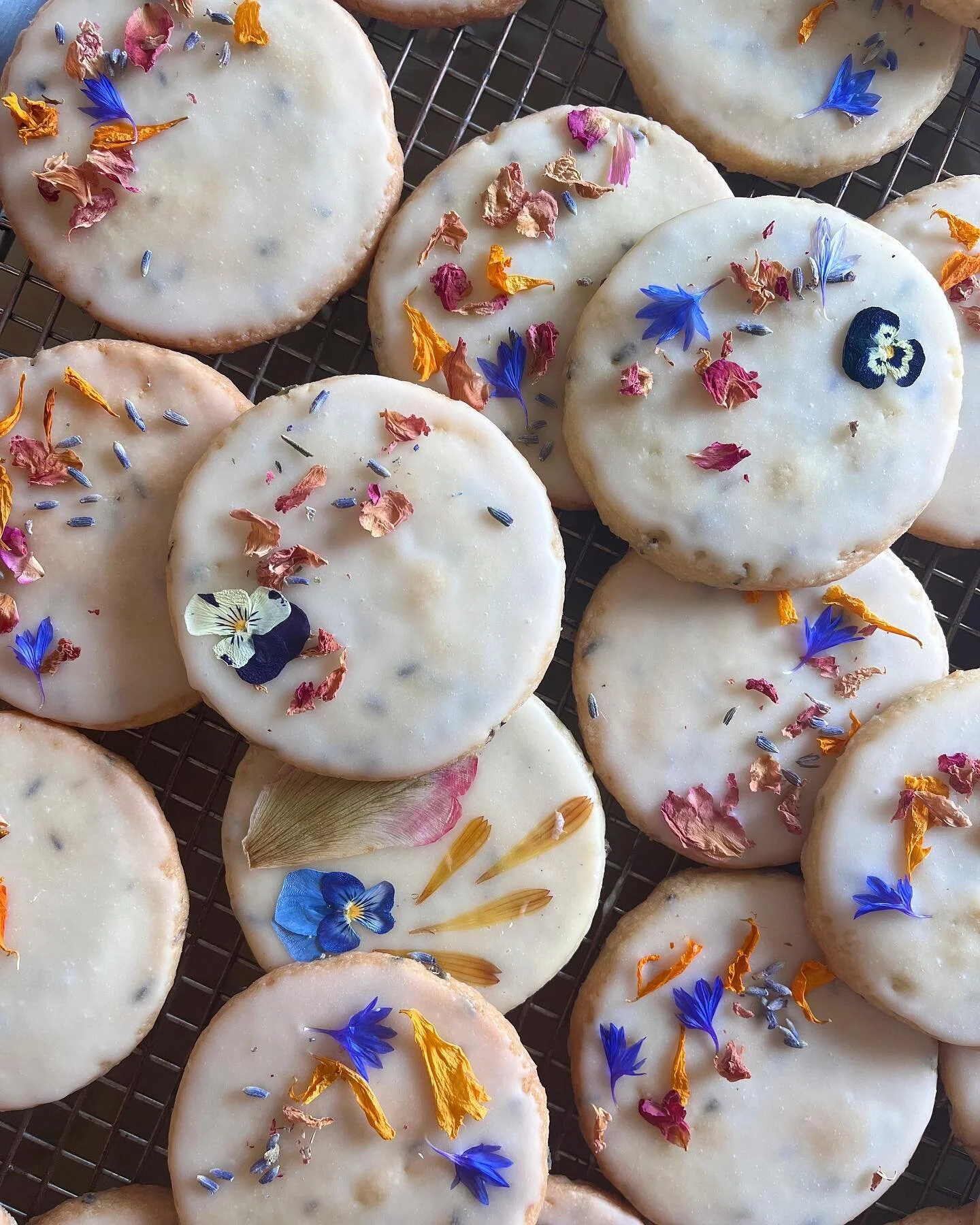 electric blue bachelor buttons for all the things. 🫡 thank you for a great saturday at the shop! see you tomorrow with more of these lemon lavender shortbread, and a friendly reminder you can preorder six packs of floral shortbread on le website for