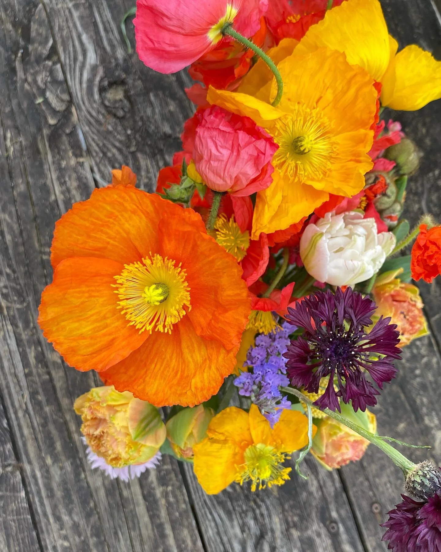 after a slow weekend, we’ll be open tomorrow from 8-10am with discounted day-old pastry bags, a few breakfast sandwiches, & hot coffee!