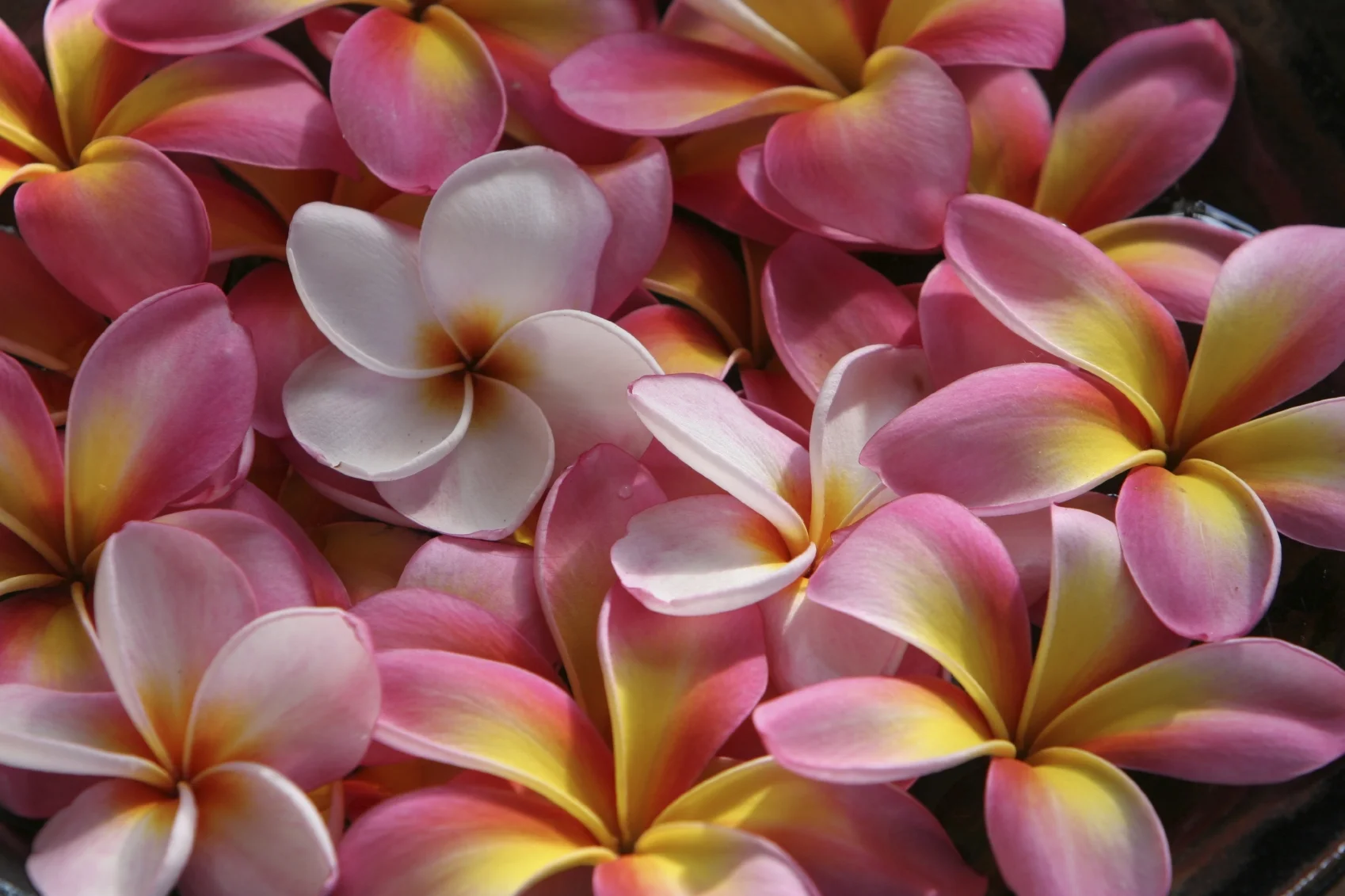 iStock_000002711350Medium.jpg
