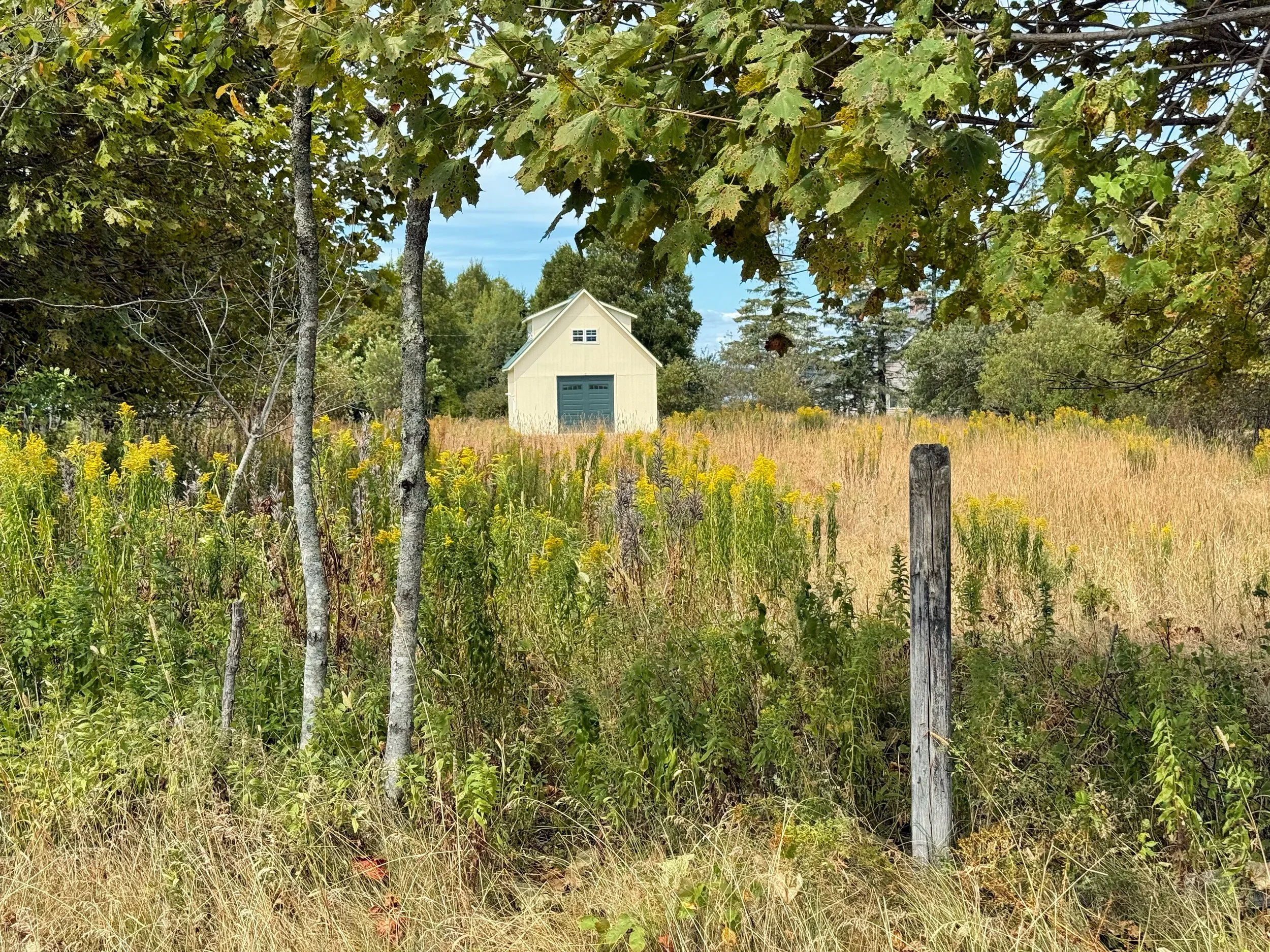 yellow barn.jpg