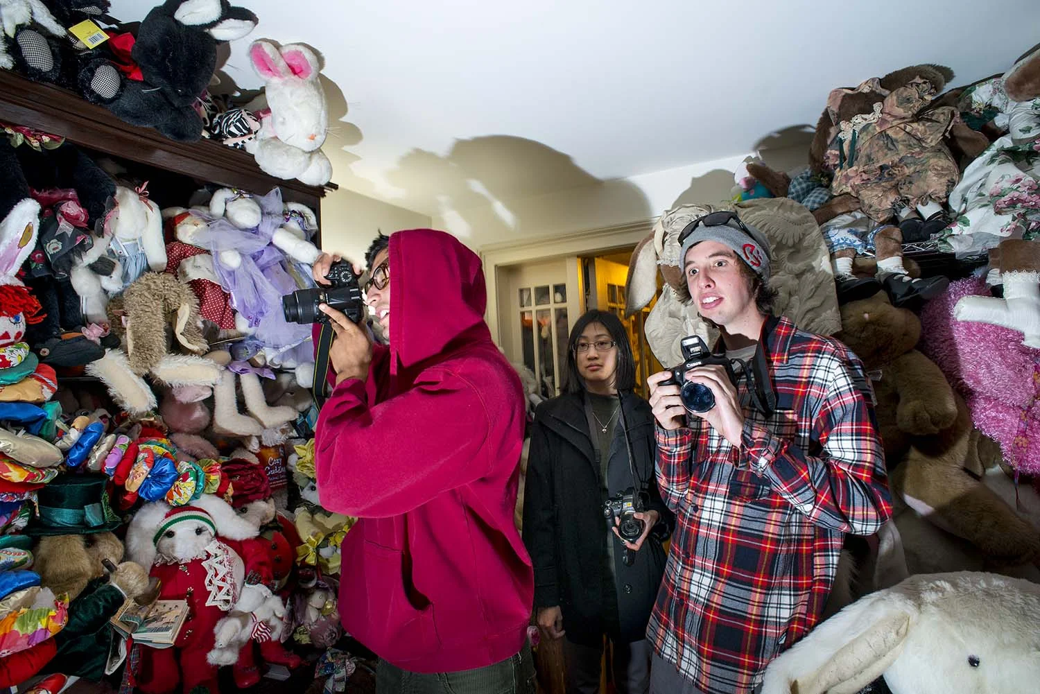 bunny_museum.jpg