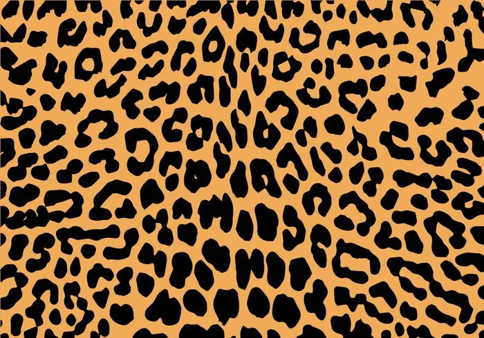free-leopard-print-vector.jpg